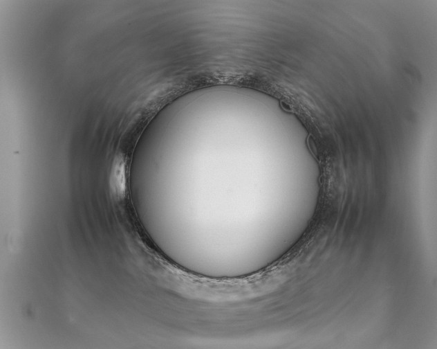 X0000112070042200908111442