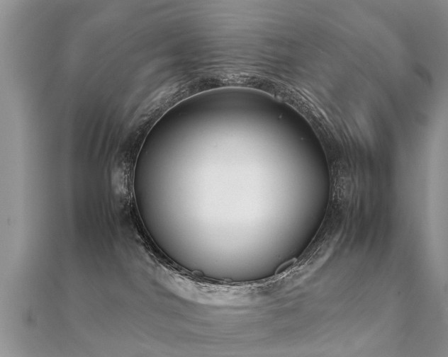 X0000112070044200908111442