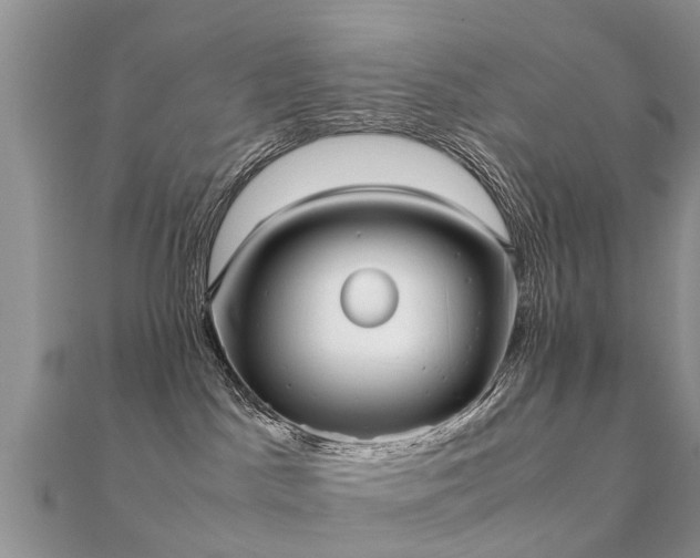 X0000112070045200908111442