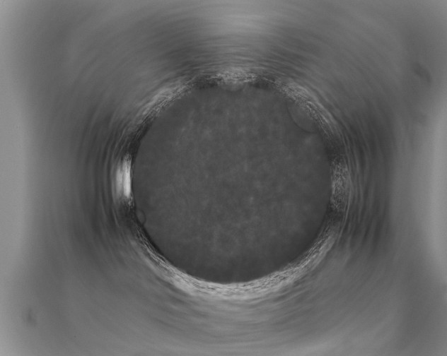 X0000112070046200908111442