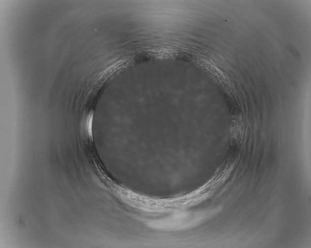 X0000112070047200908111442