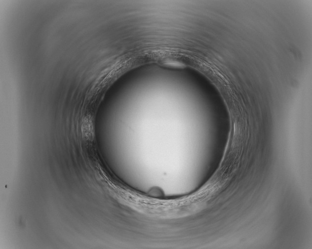 X0000112070048200908111442