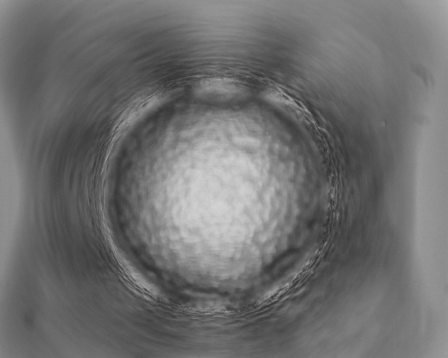 X0000112070049200908111442