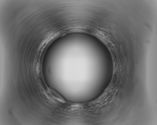 X0000112070050200908111442