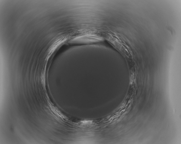 X0000112070052200908111442