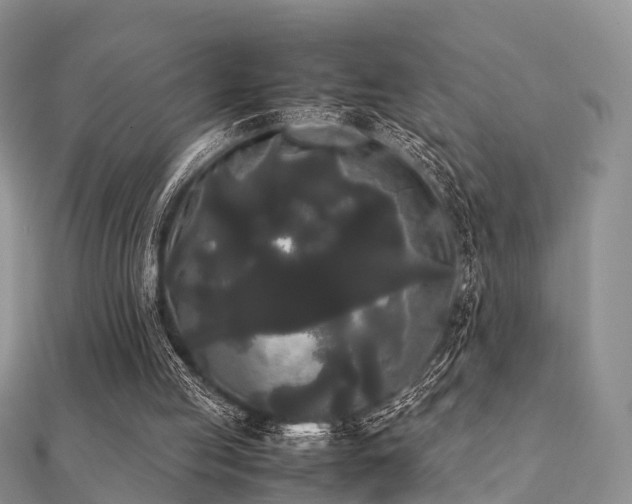 X0000112070053200908111442