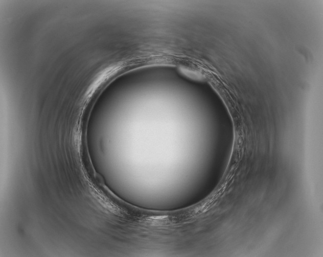 X0000112070054200908111442