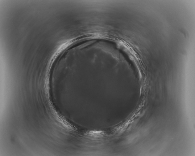 X0000112070055200908111442