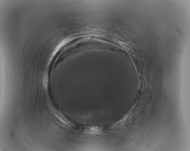 X0000112070056200908111442