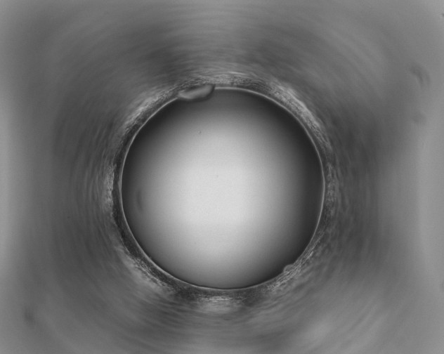 X0000112070058200908111442