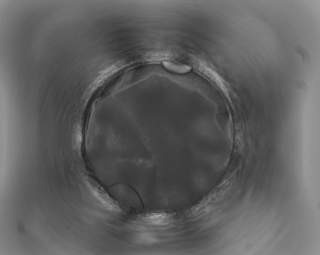 X0000112070059200908111442