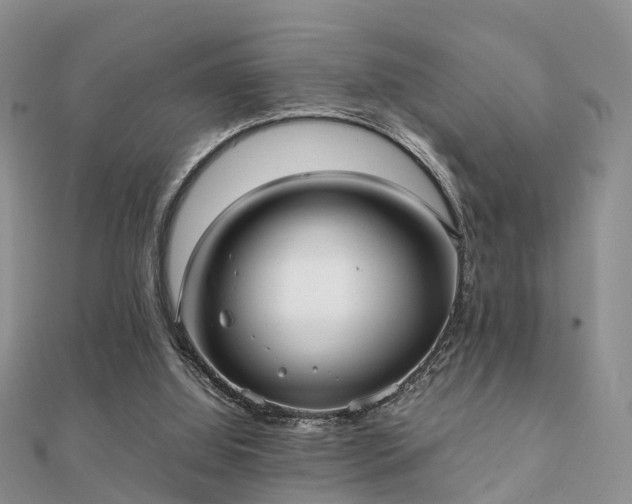 X0000112070060200908111442