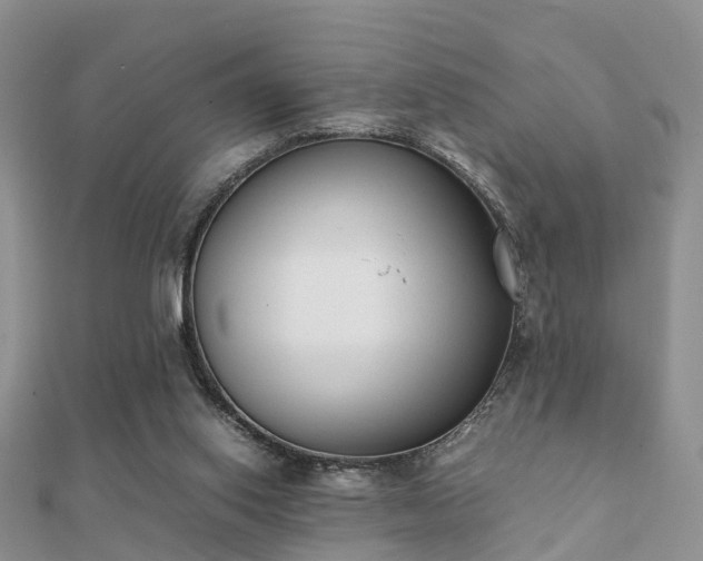 X0000112070062200908111442