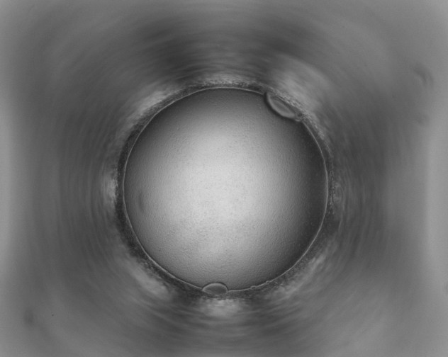 X0000112070063200908111442