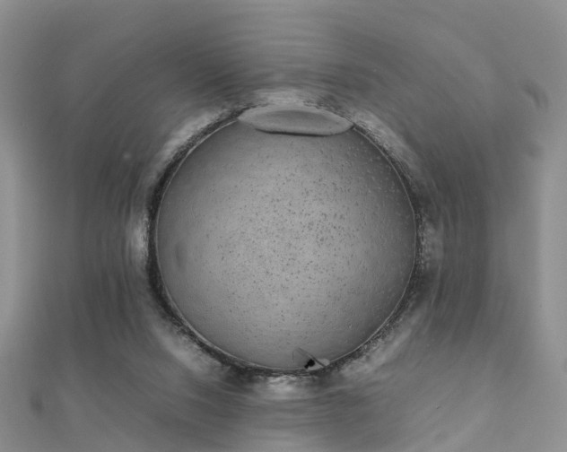 X0000112070064200908111442