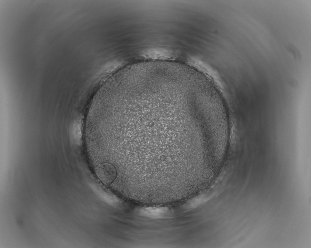 X0000112070065200908111442