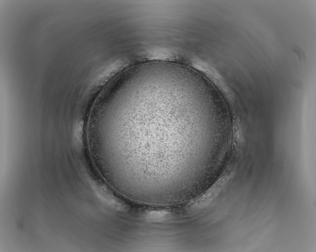 X0000112070066200908111442