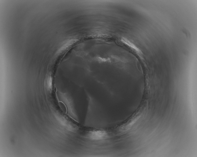 X0000112070067200908111442