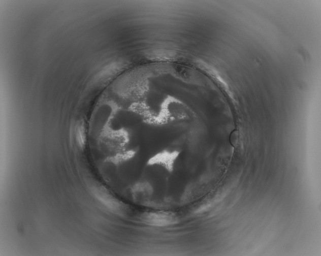 X0000112070069200908111442