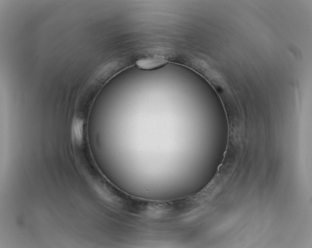 X0000112070070200908111442