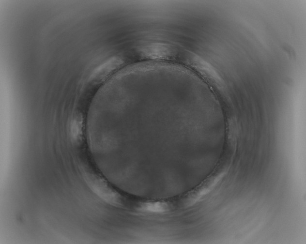 X0000112070073200908111442