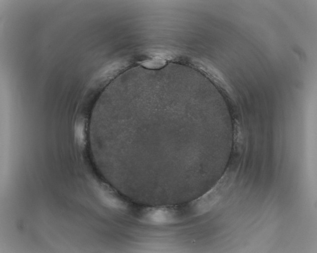 X0000112070074200908111442