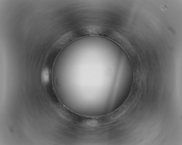 X0000112070075200908111442