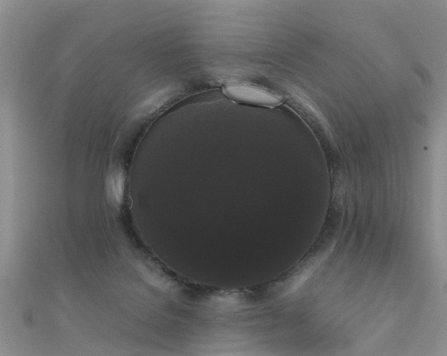 X0000112070076200908111442