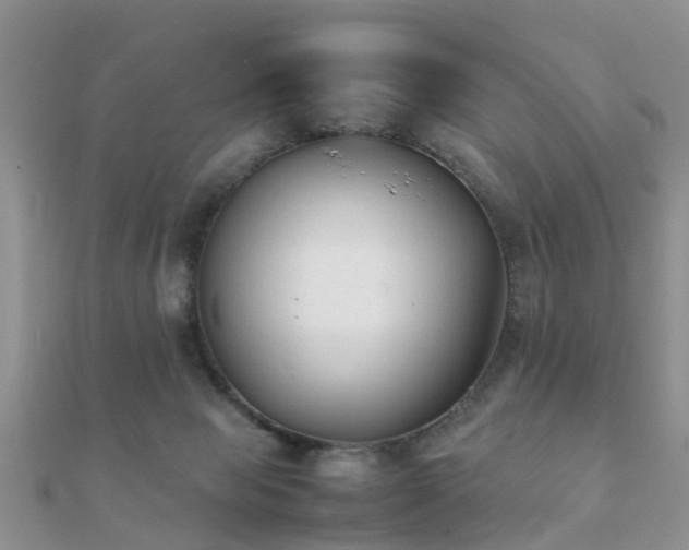 X0000112070077200908111442