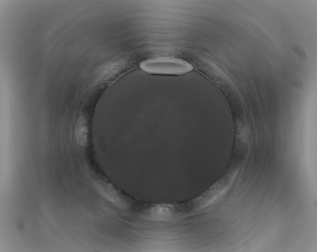 X0000112070080200908111442