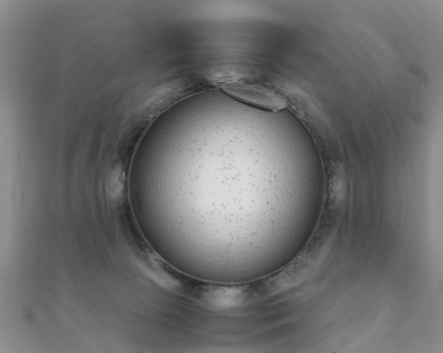 X0000112070081200908111442