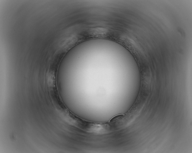 X0000112070083200908111442