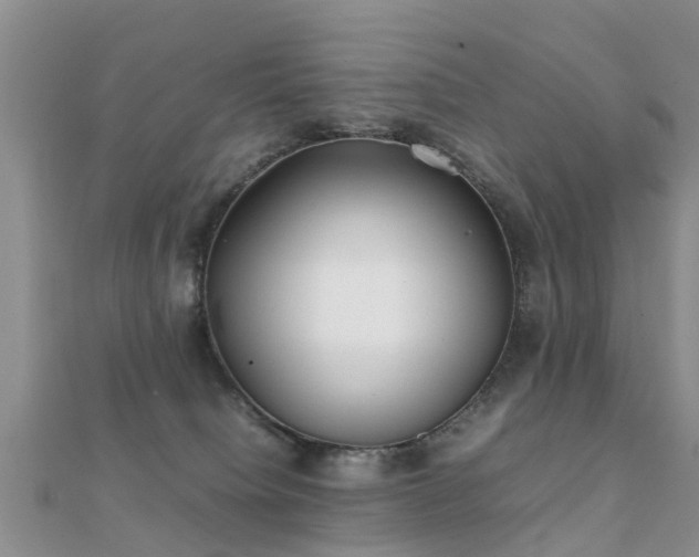 X0000112070084200908111442