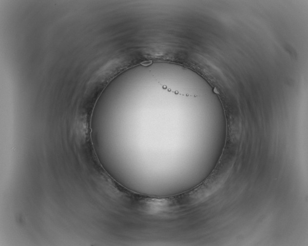 X0000112070085200908111442