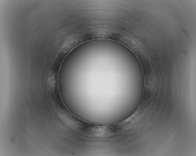 X0000112070086200908111442