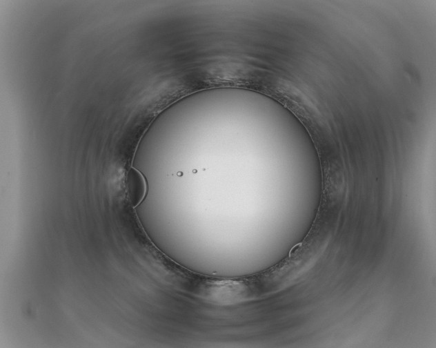 X0000112070087200908111442