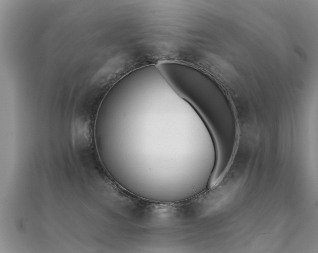 X0000112070088200908111442