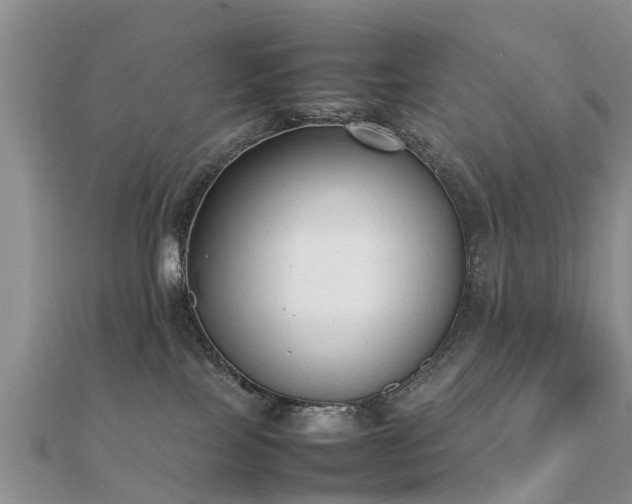 X0000112070089200908111442