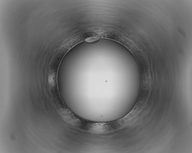 X0000112070090200908111442