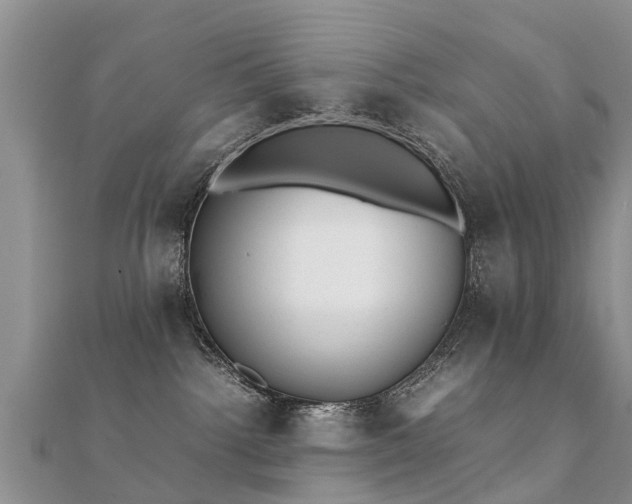 X0000112070092200908111442