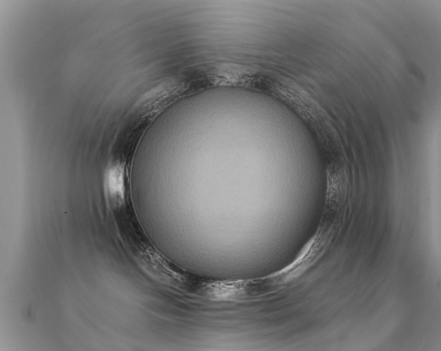 X0000112070094200908111442