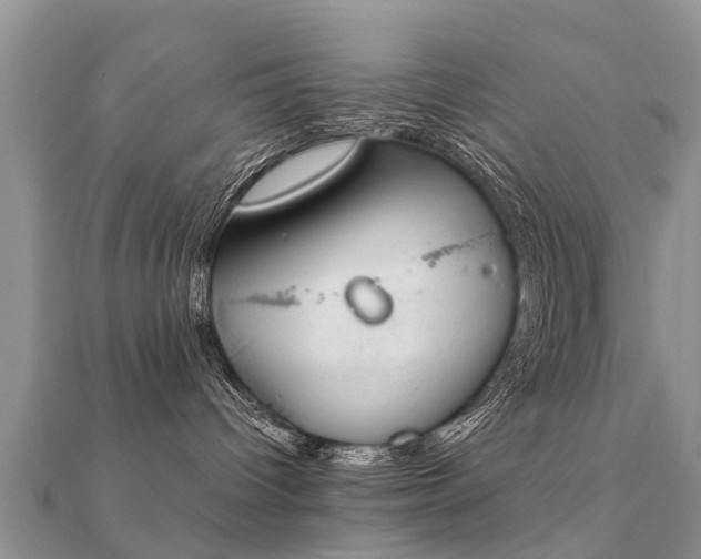 X0000112070096200908111442