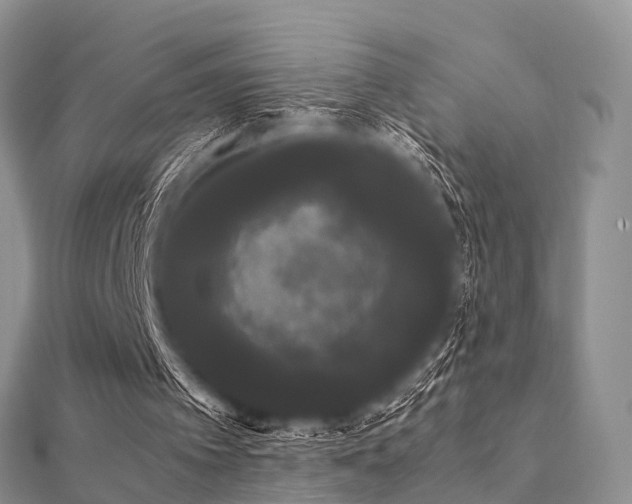 X0000112070097200908111442