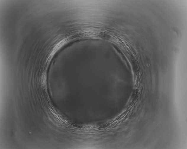 X0000112070099200908111442