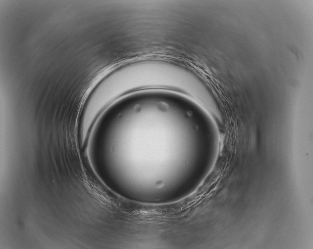 X0000112070100200908111442