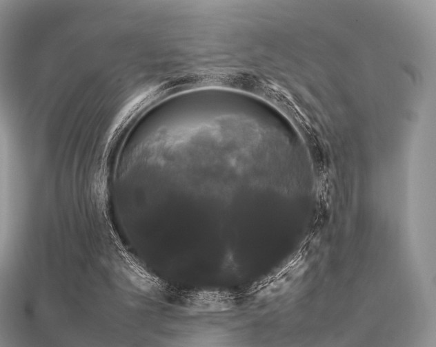 X0000112070101200908111442