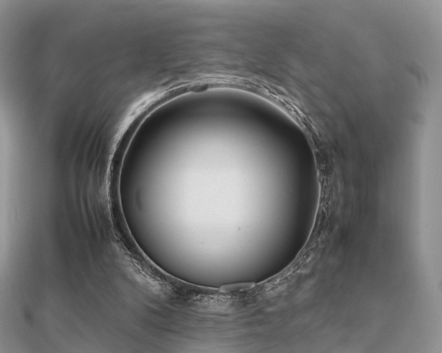 X0000112070104200908111442