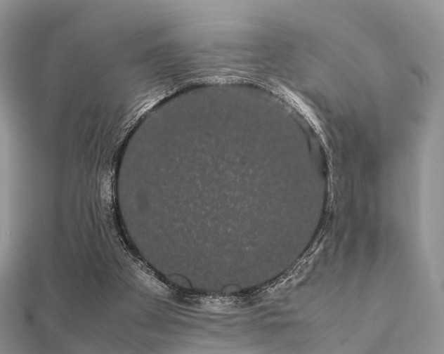 X0000112070105200908111442