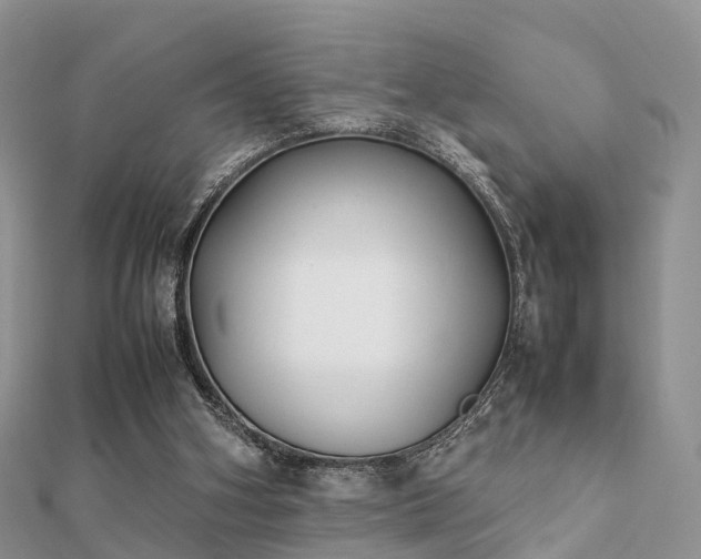 X0000112070106200908111442