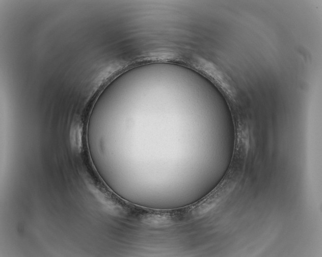 X0000112070110200908111441